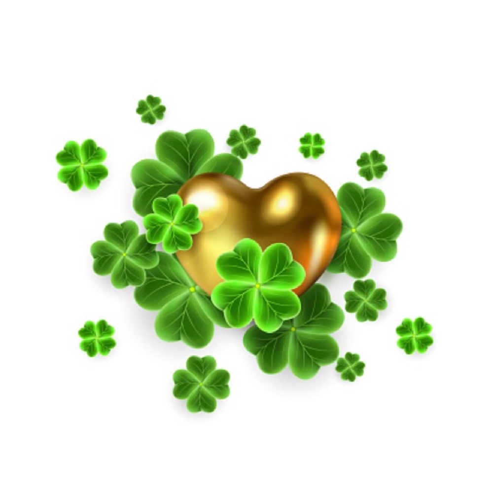 💚💚💚💚💚💚💚💚 - Picture 2 of 2